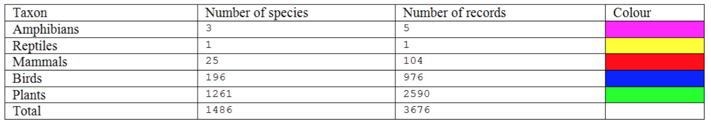 Map of local streets in left report